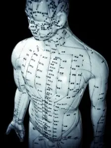 Acupuncture Information: Acupuncture meridians and points A model displays acupuncture channels and points