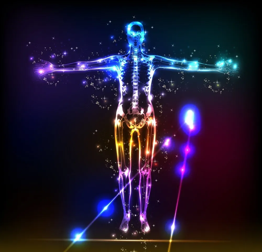 mind body